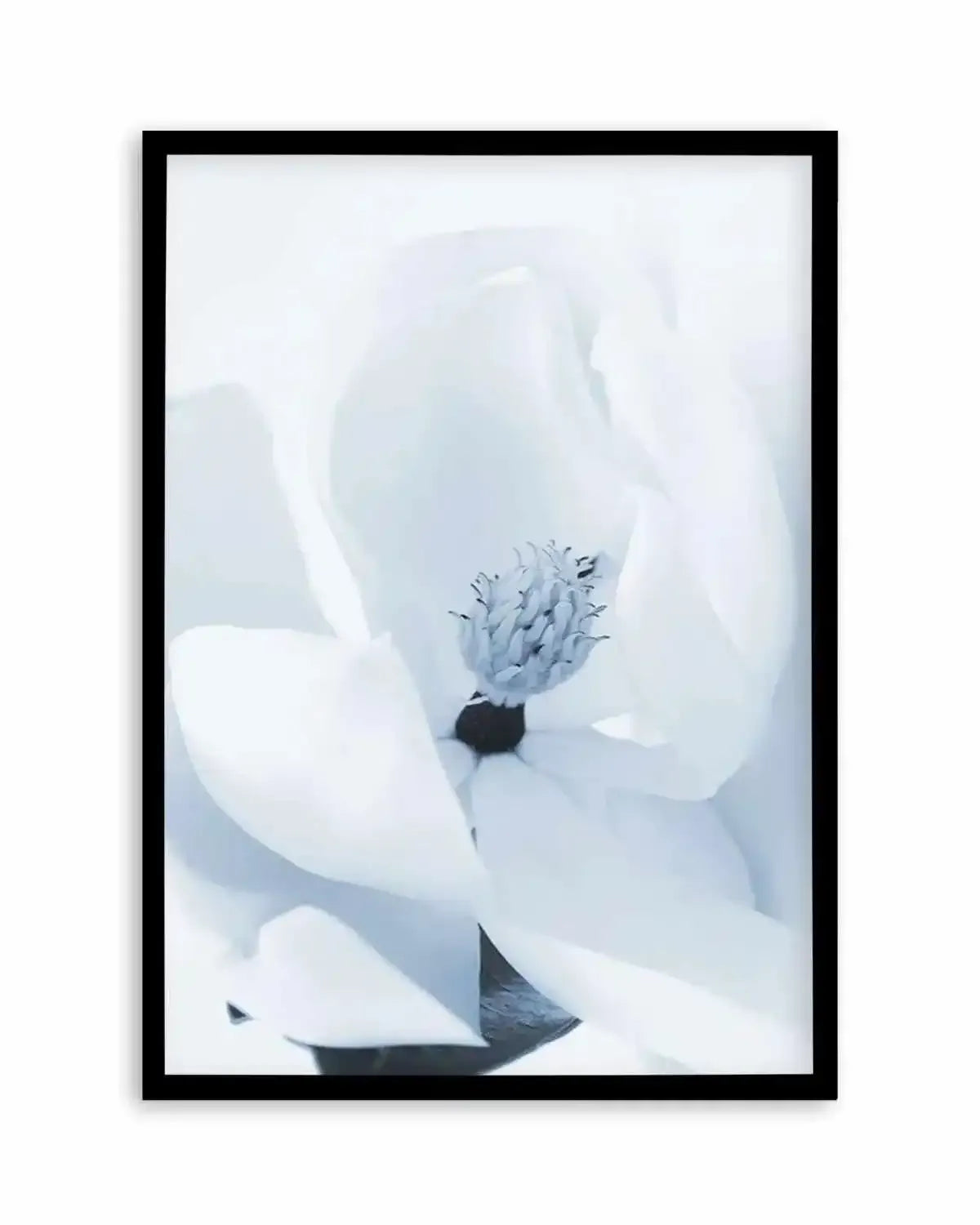 Blue Magnolia Art Print from Olive et Oriel where you can shop wallpaper and artworks online