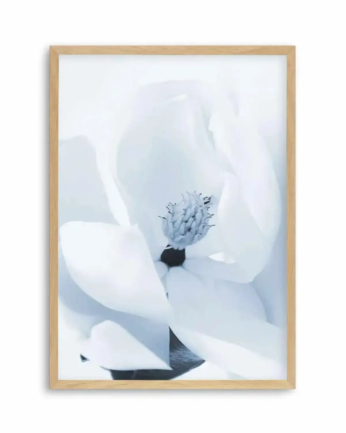 Blue Magnolia Art Print from Olive et Oriel where you can shop wallpaper and artworks online