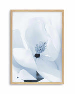 Blue Magnolia Art Print