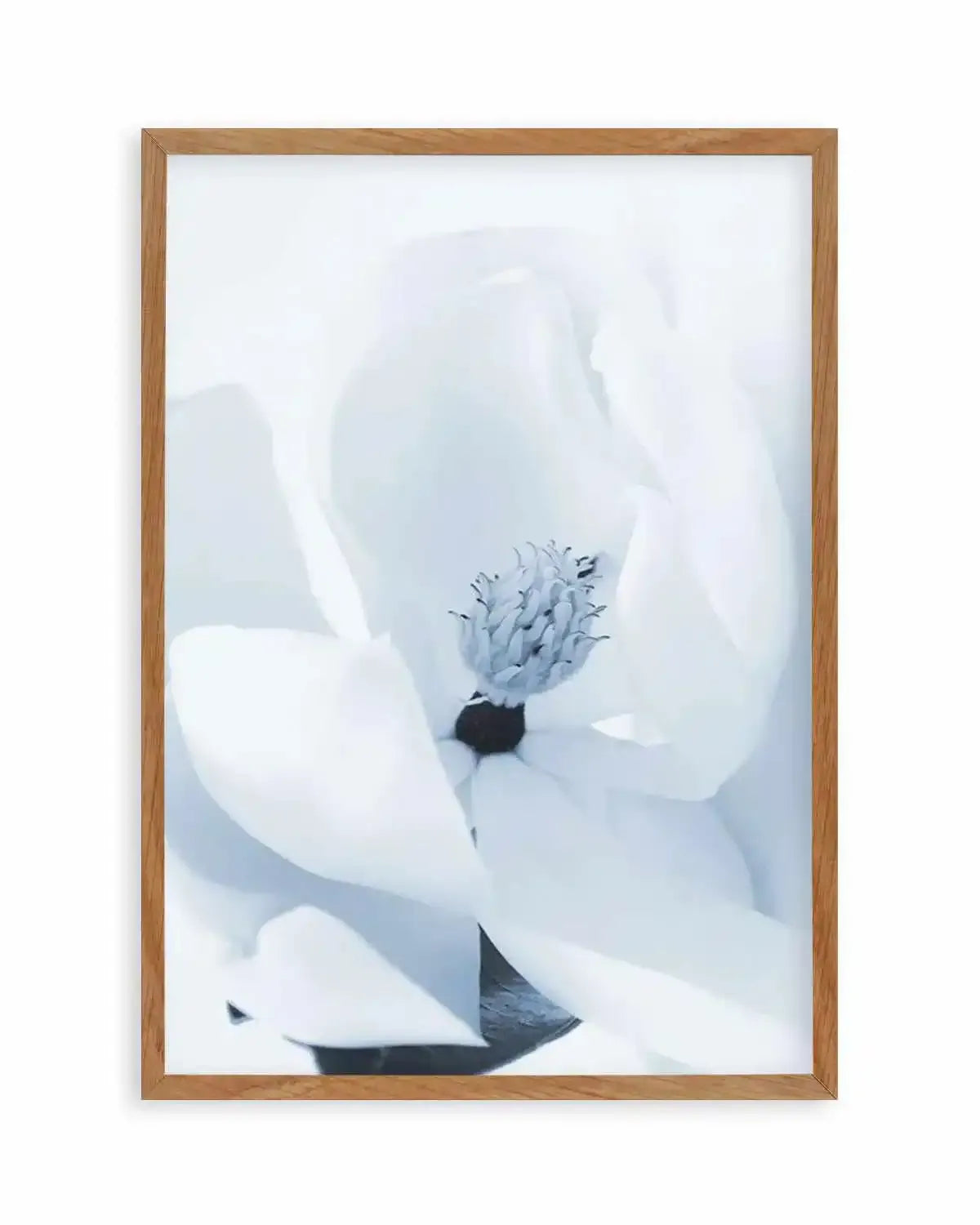 Blue Magnolia Art Print from Olive et Oriel where you can shop wallpaper and artworks online
