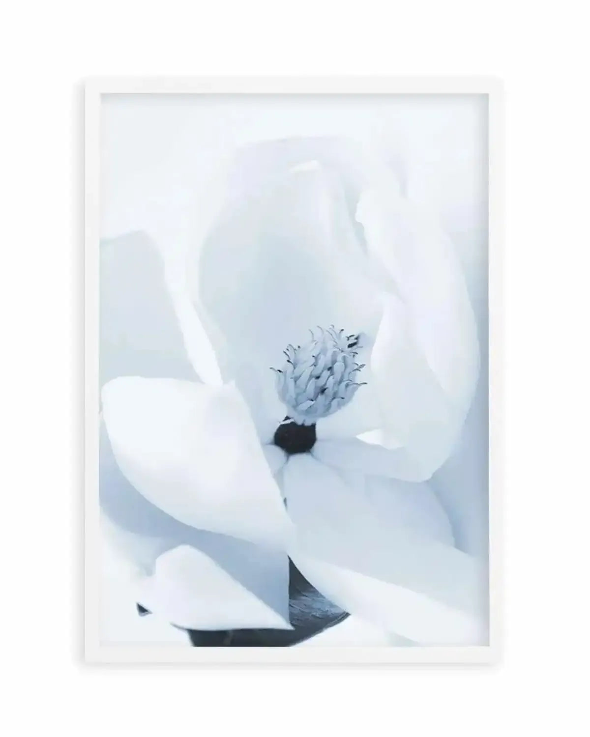 Blue Magnolia Art Print from Olive et Oriel where you can shop wallpaper and artworks online