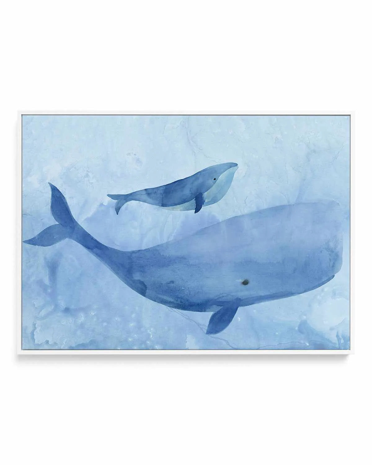 Blue Spirits II | Framed Canvas Art Print from Olive et Oriel where you can shop wallpaper and artworks online