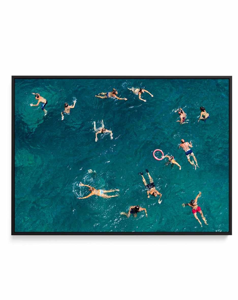 Blue Water Swim By Carlo Tonti | Framed Canvas Art Print