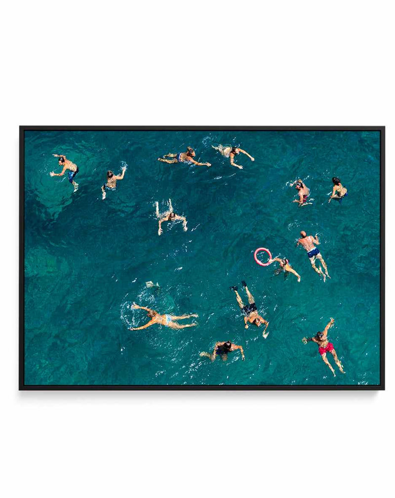 Blue Water Swim By Carlo Tonti | Framed Canvas Art Print