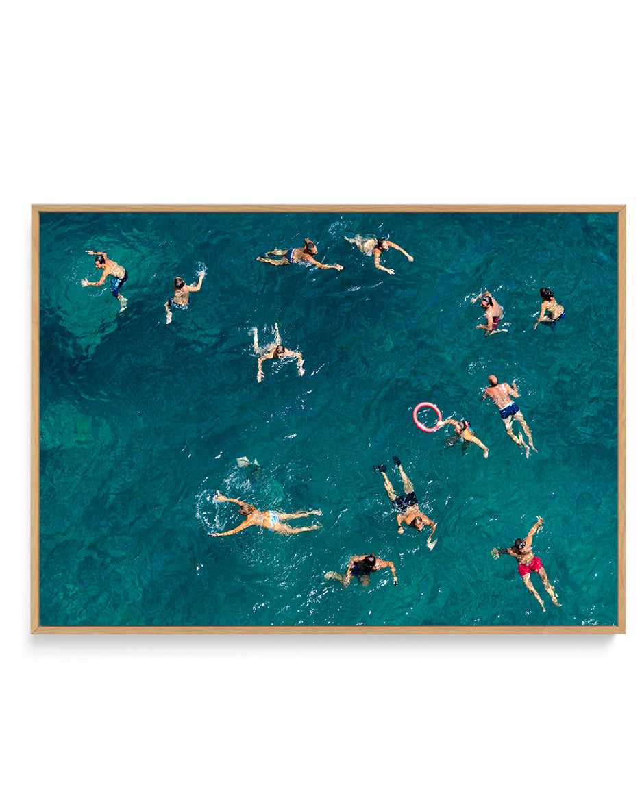 Blue Water Swim By Carlo Tonti | Framed Canvas Art Print