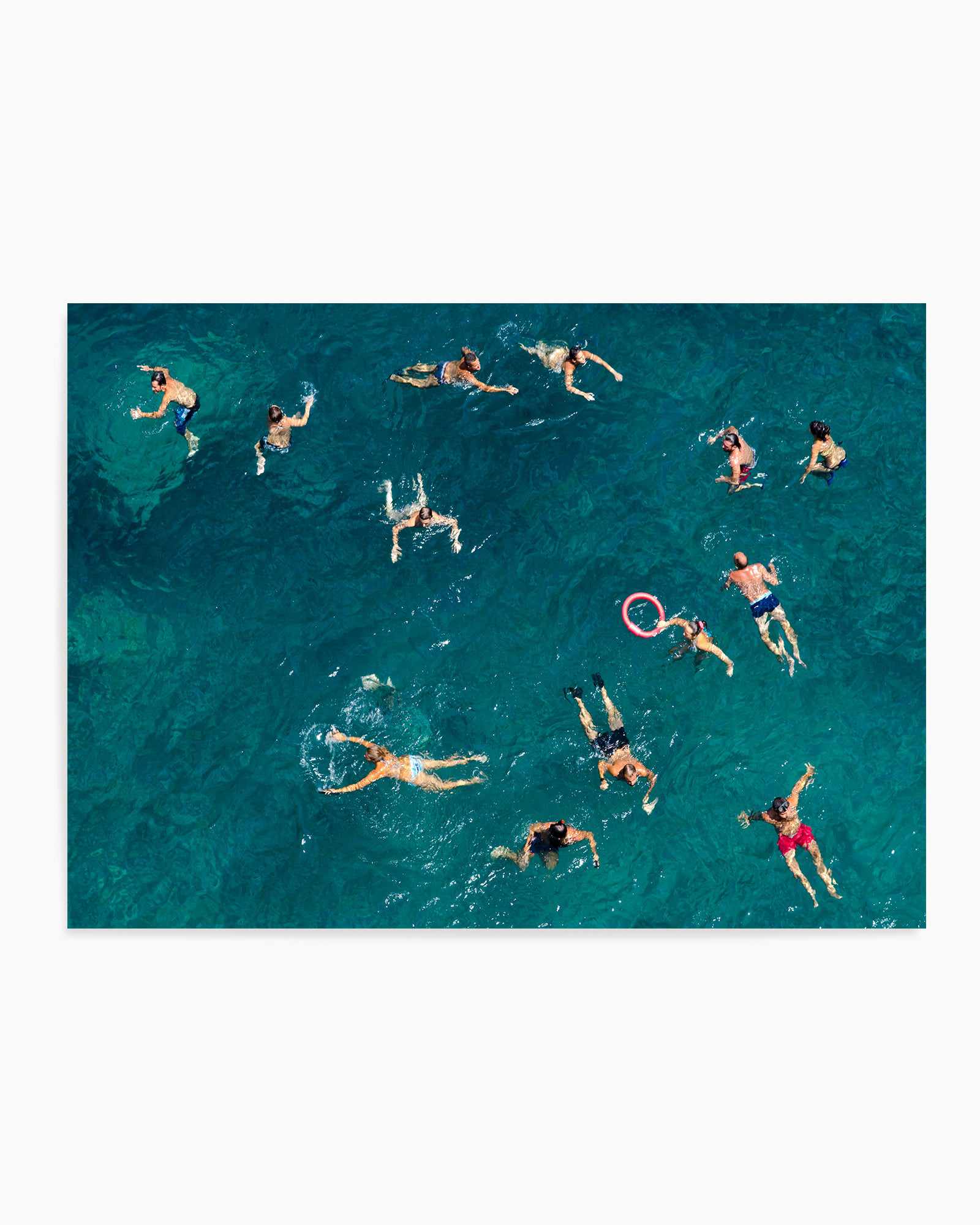 Blue Water Swim By Carlo Tonti | Art Print