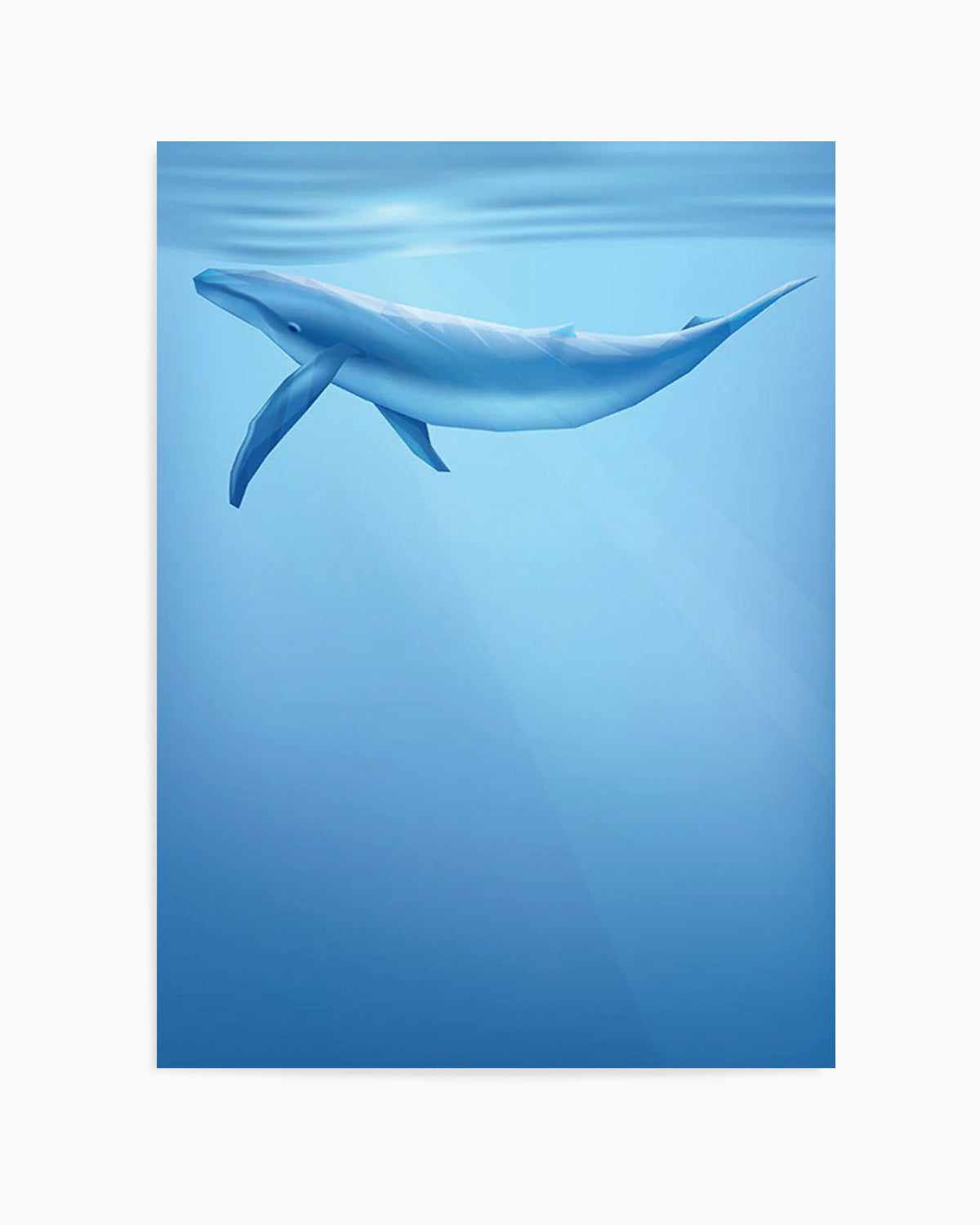 Blue Whale | Graphic Whales Collection Art Print