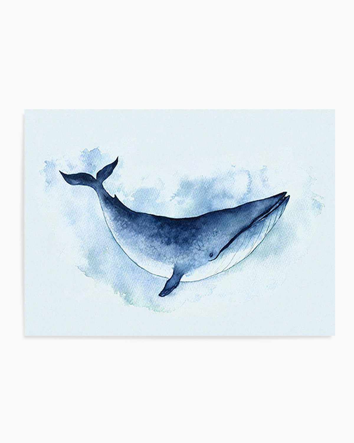 Blue Whale | LS Art Print