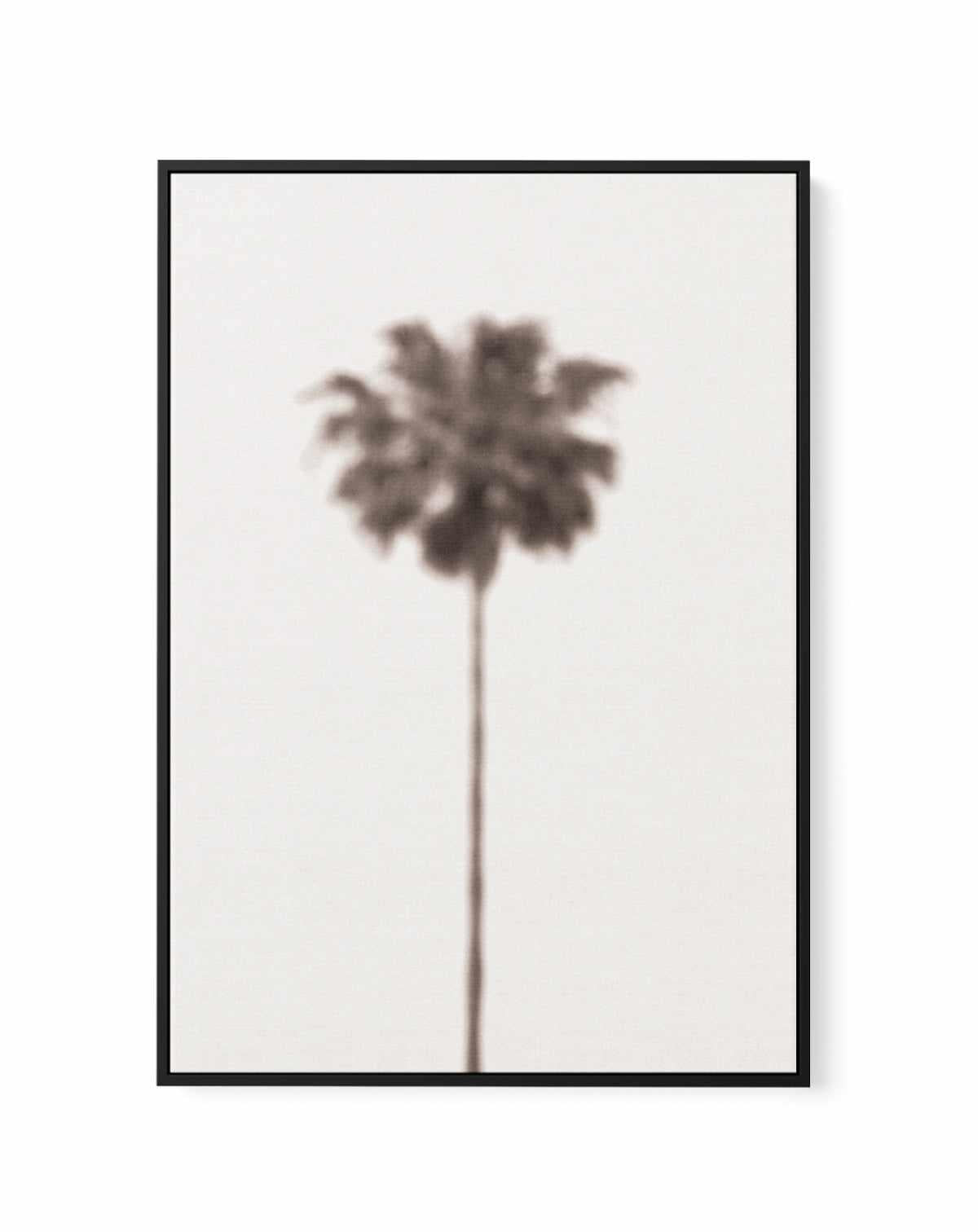 Blurred Palm Tree | Framed Canvas Art Print