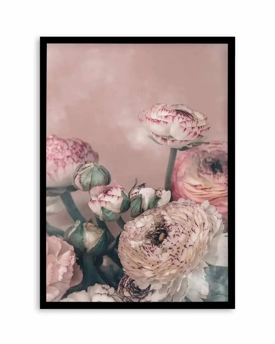 Blush Ranunculus Art Print from Olive et Oriel where you can shop wallpaper and artworks online