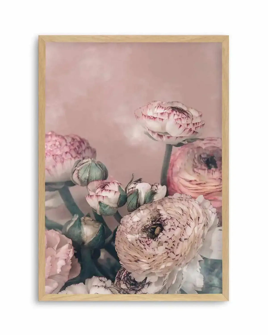 Blush Ranunculus Art Print from Olive et Oriel where you can shop wallpaper and artworks online