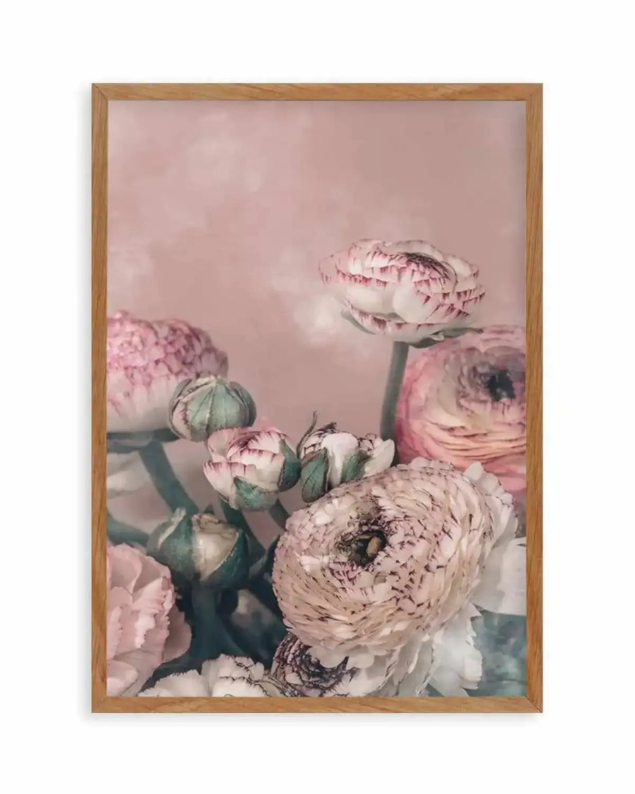 Blush Ranunculus Art Print from Olive et Oriel where you can shop wallpaper and artworks online