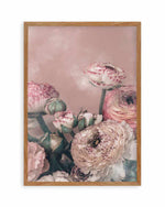 Blush Ranunculus Art Print or Poster. – Olive et Oriel