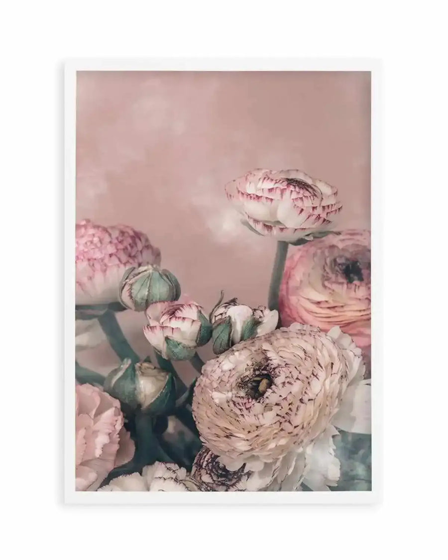 Blush Ranunculus Art Print from Olive et Oriel where you can shop wallpaper and artworks online
