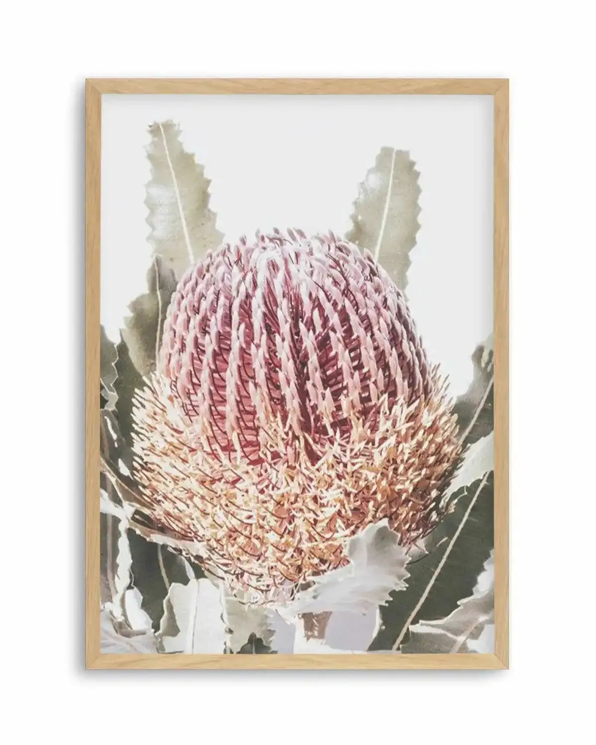 Blushing Banksia I | PT Art Print from Olive et Oriel where you can shop wallpaper and artworks online