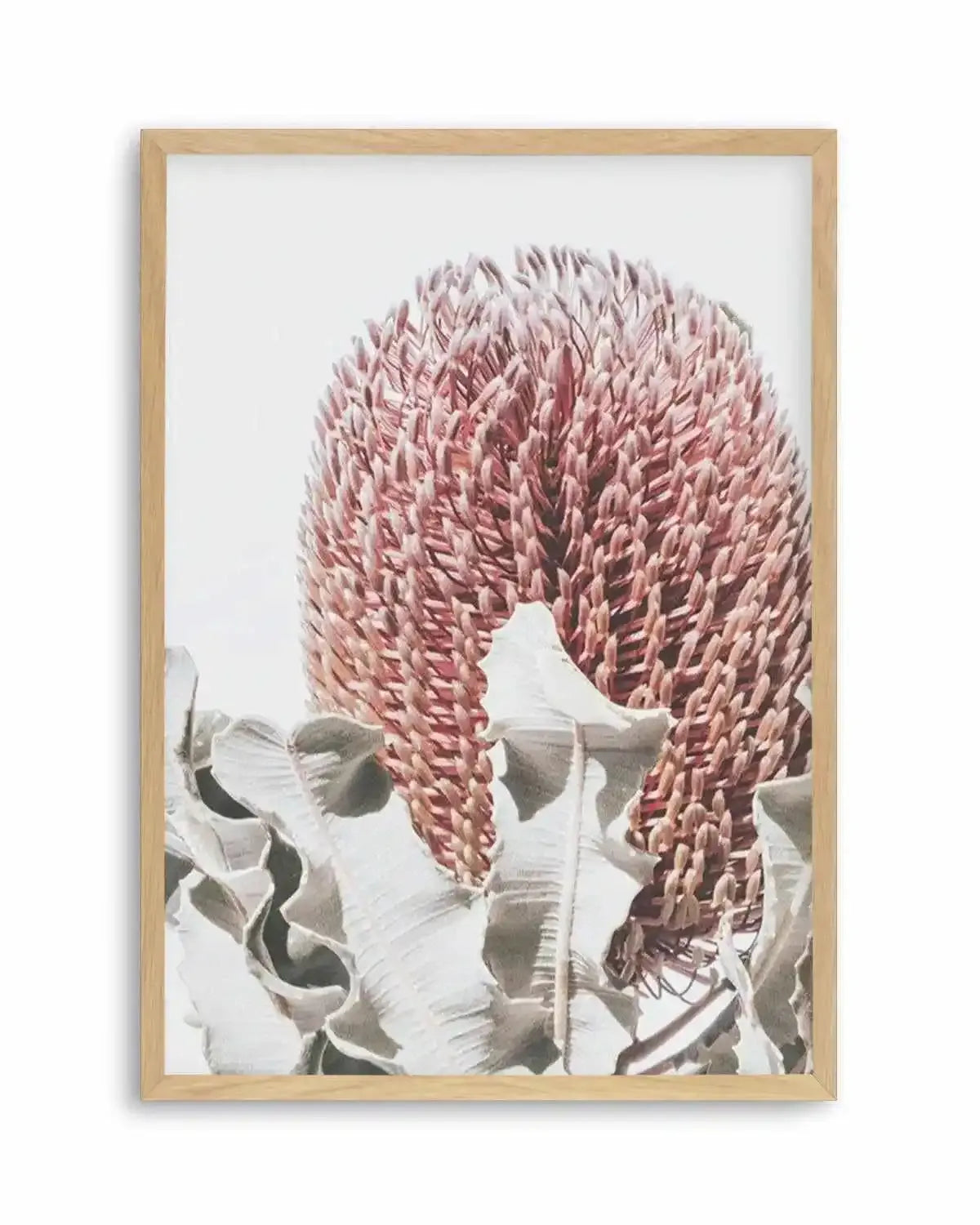 Blushing Banksia II | PT Art Print from Olive et Oriel where you can shop wallpaper and artworks online
