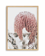 Blushing Banksia II | PT Art Print