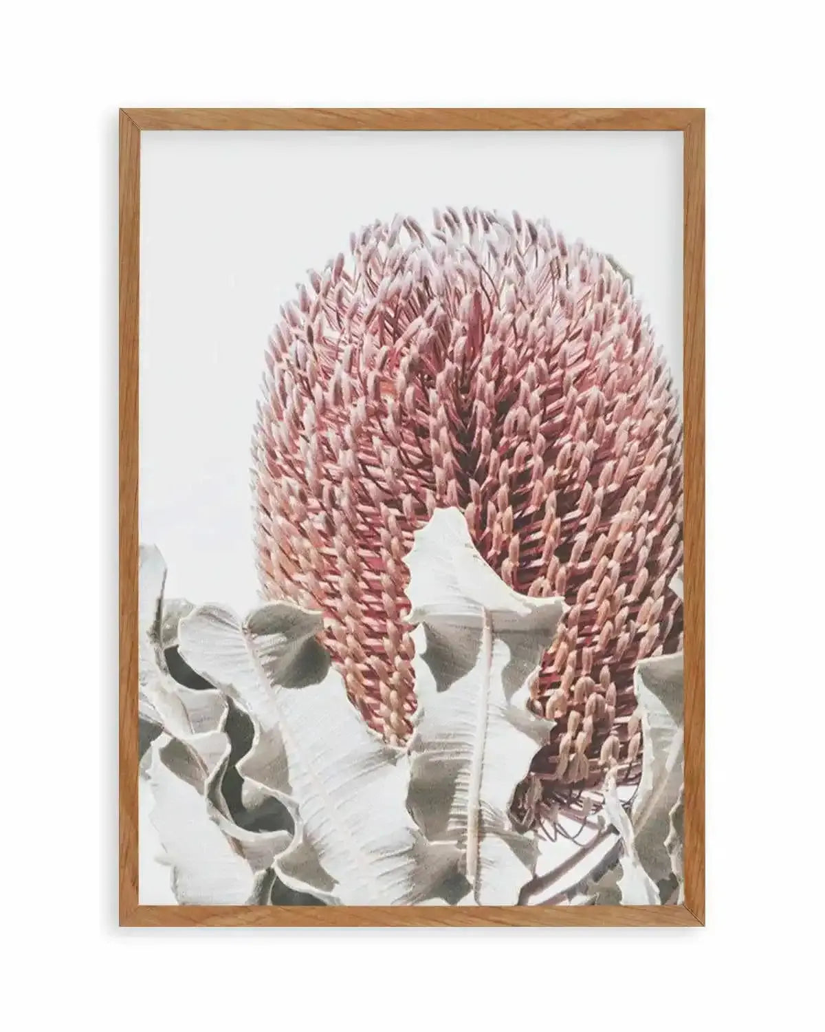 Blushing Banksia II | PT Art Print from Olive et Oriel where you can shop wallpaper and artworks online