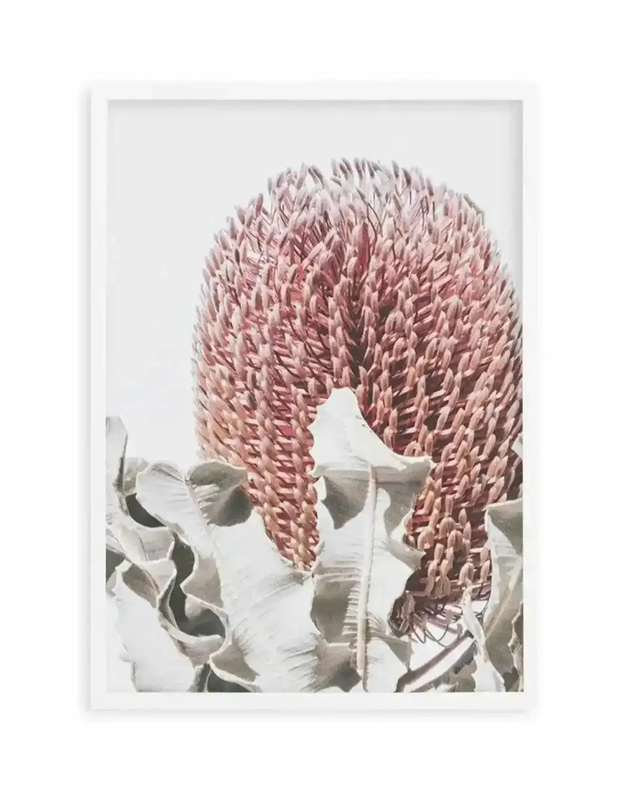 Blushing Banksia II | PT Art Print from Olive et Oriel where you can shop wallpaper and artworks online