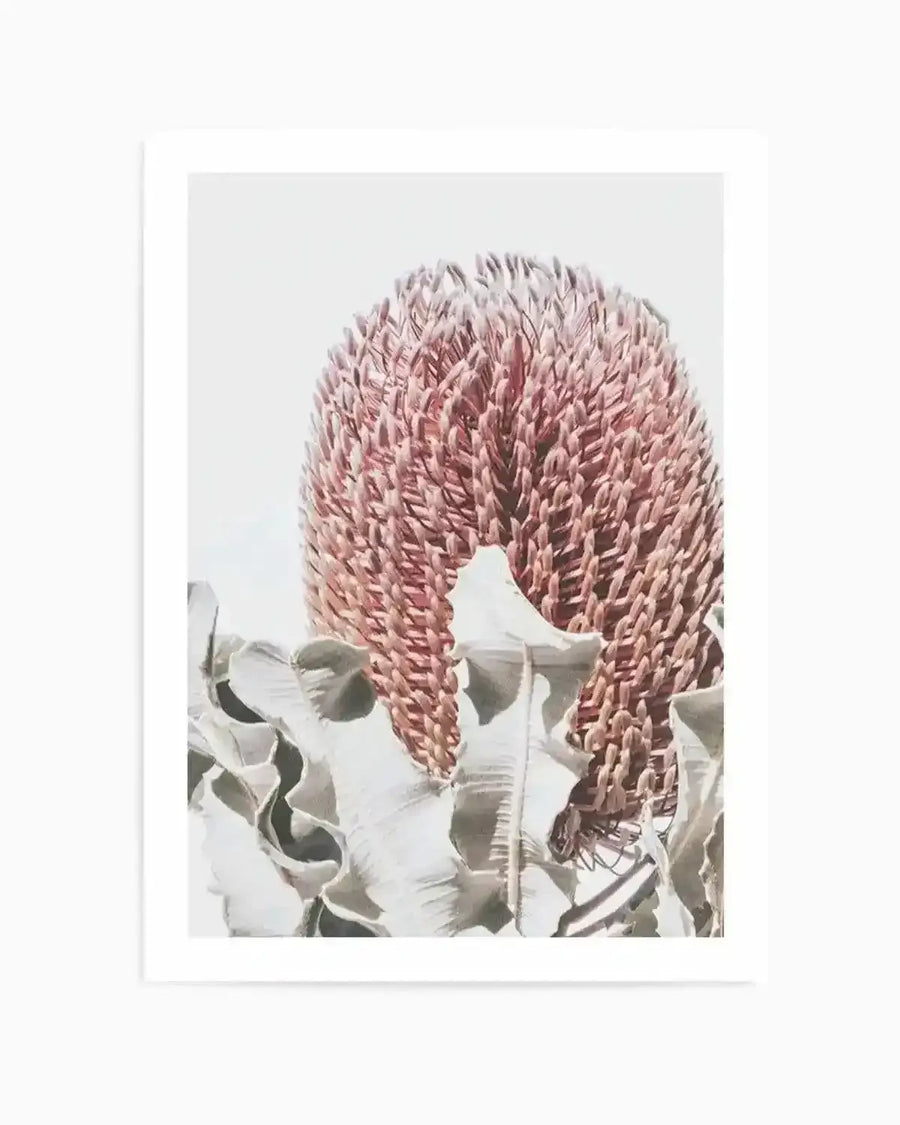 Blushing Banksia II | PT Art Print from Olive et Oriel where you can shop wallpaper and artworks online