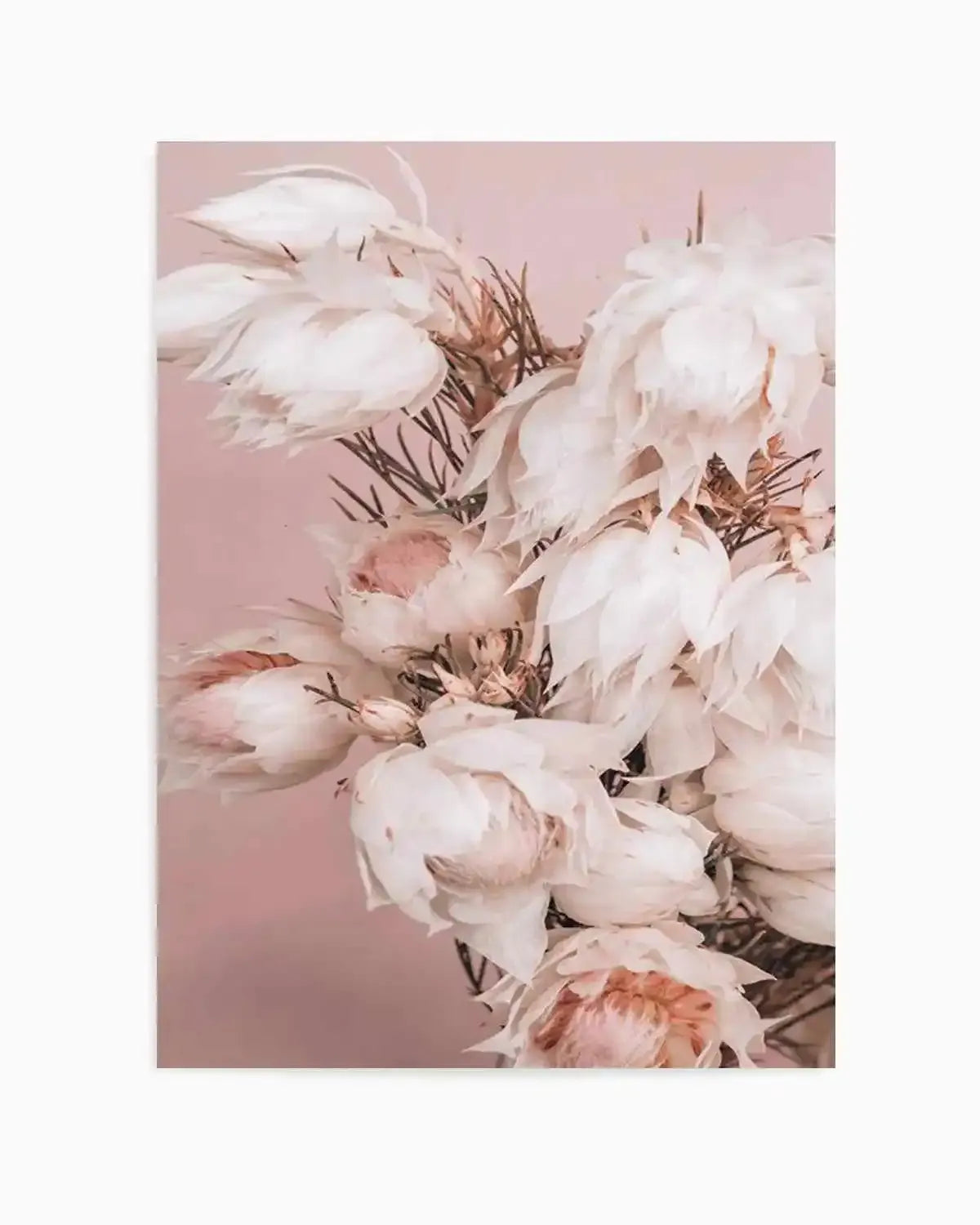 Blushing Bride I Art Print from Olive et Oriel where you can shop wallpaper and artworks online