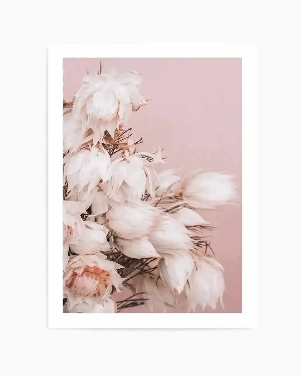 Blushing Bride II Art Print from Olive et Oriel where you can shop wallpaper and artworks online