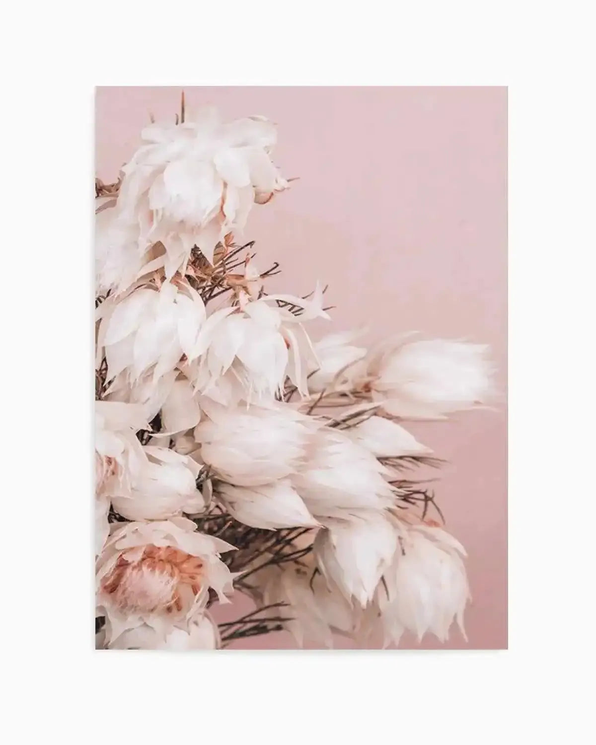 Blushing Bride II Art Print from Olive et Oriel where you can shop wallpaper and artworks online