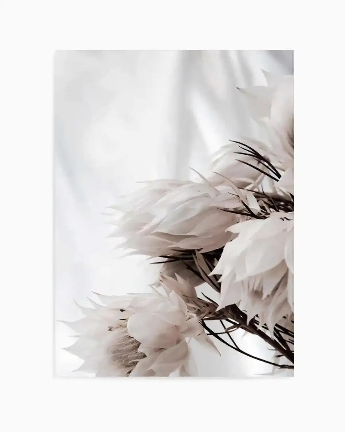 Blushing Bride | Neutrals Art Print from Olive et Oriel where you can shop wallpaper and artworks online