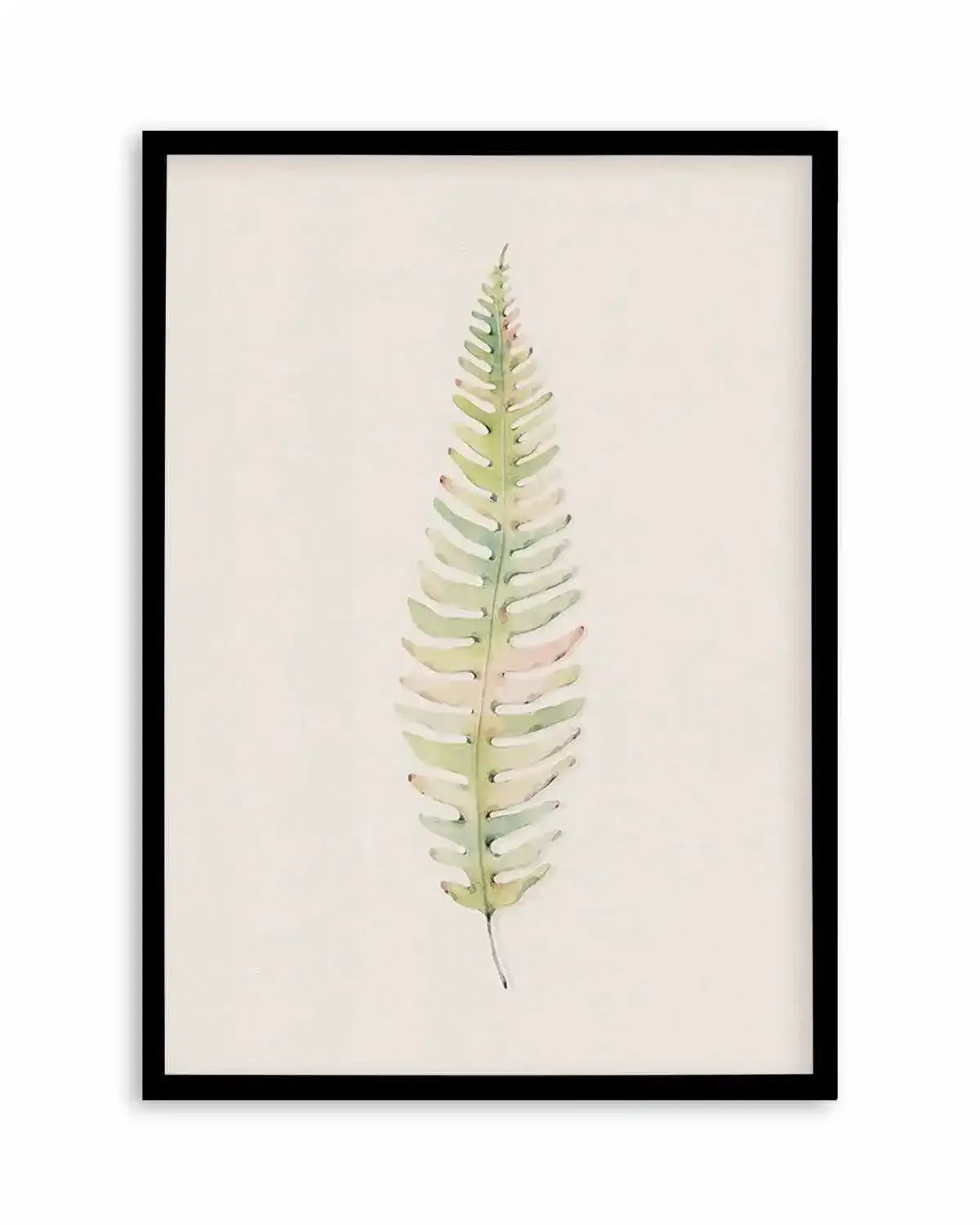 Blushing Fern I | Watercolor Art Print from Olive et Oriel where you can shop wallpaper and artworks online