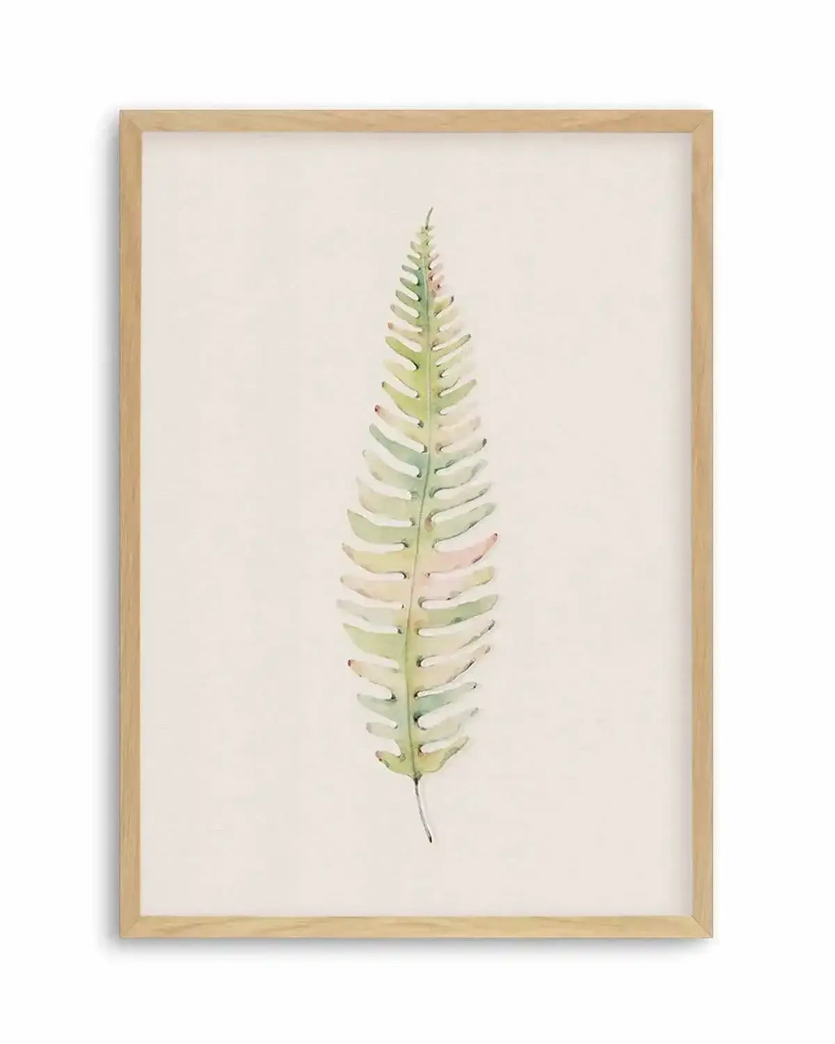 Blushing Fern I | Watercolor Art Print from Olive et Oriel where you can shop wallpaper and artworks online