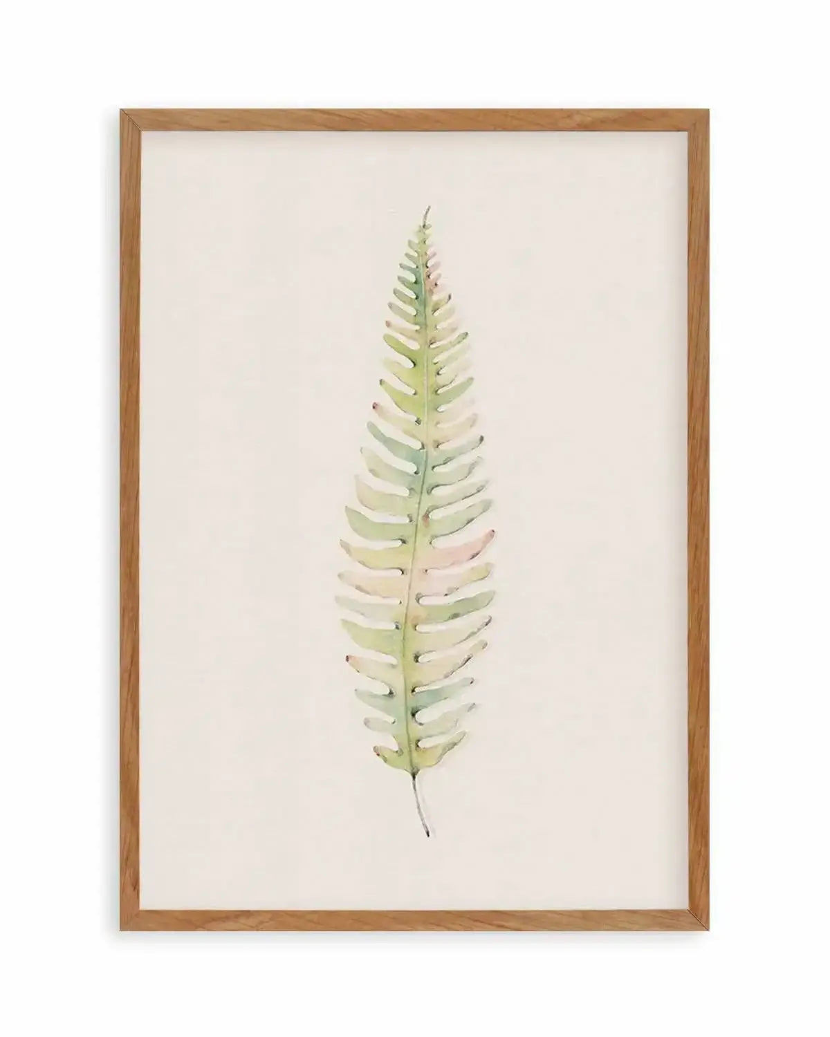 Blushing Fern I | Watercolor Art Print from Olive et Oriel where you can shop wallpaper and artworks online