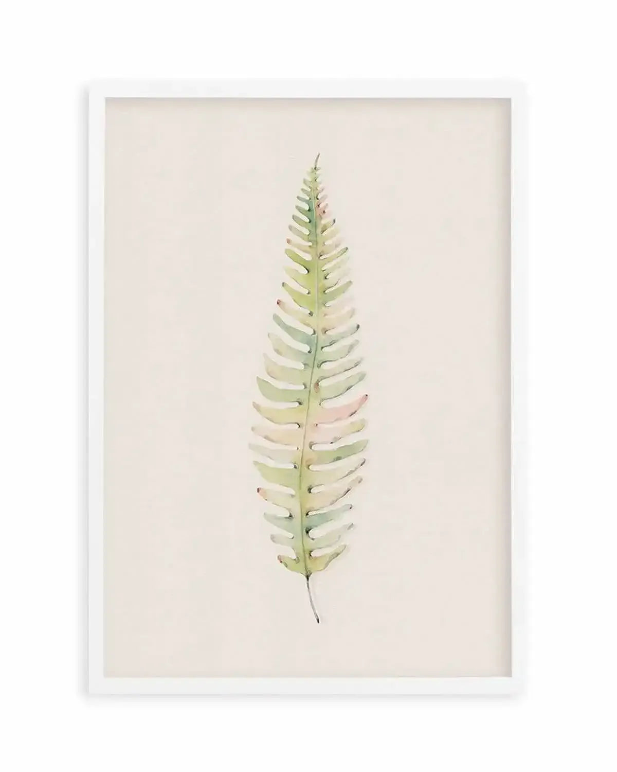 Blushing Fern I | Watercolor Art Print from Olive et Oriel where you can shop wallpaper and artworks online