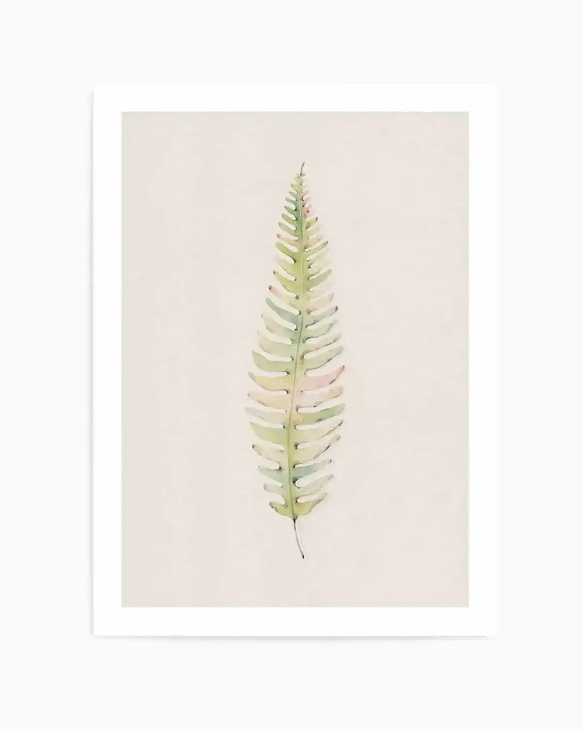Blushing Fern I | Watercolor Art Print from Olive et Oriel where you can shop wallpaper and artworks online