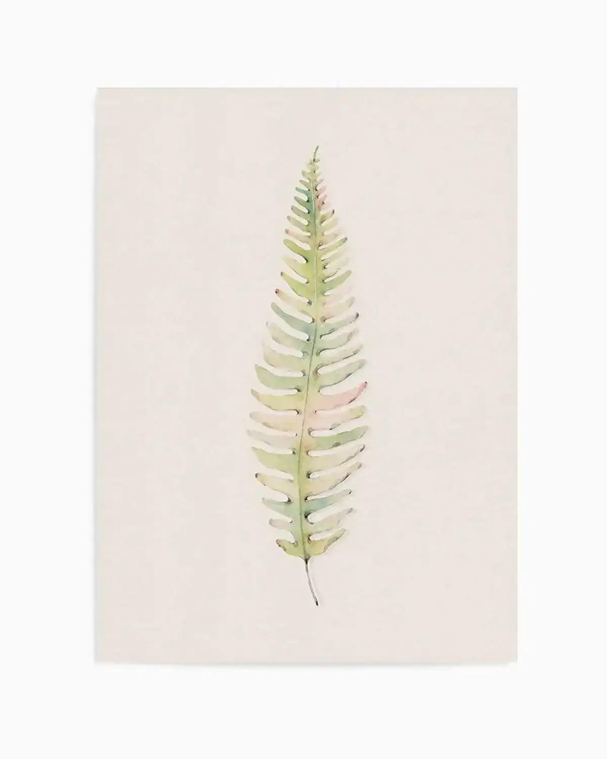 Blushing Fern I | Watercolor Art Print from Olive et Oriel where you can shop wallpaper and artworks online