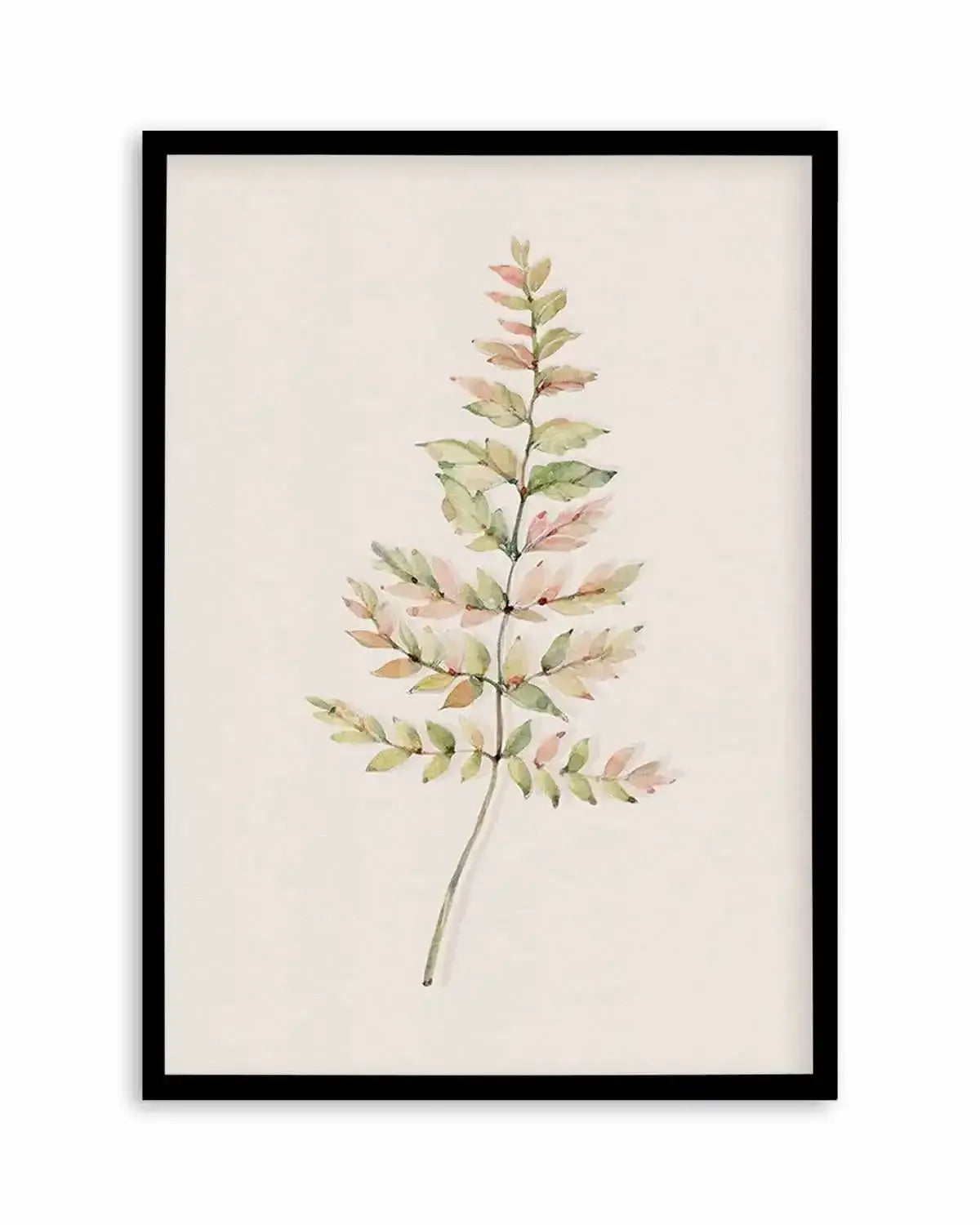 Blushing Fern II | Watercolor Art Print from Olive et Oriel where you can shop wallpaper and artworks online