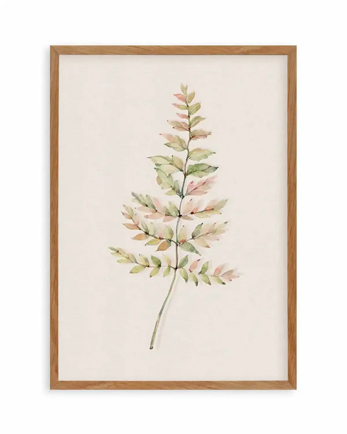 Blushing Fern II | Watercolor Art Print from Olive et Oriel where you can shop wallpaper and artworks online