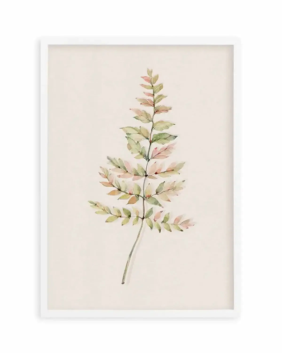 Blushing Fern II | Watercolor Art Print from Olive et Oriel where you can shop wallpaper and artworks online