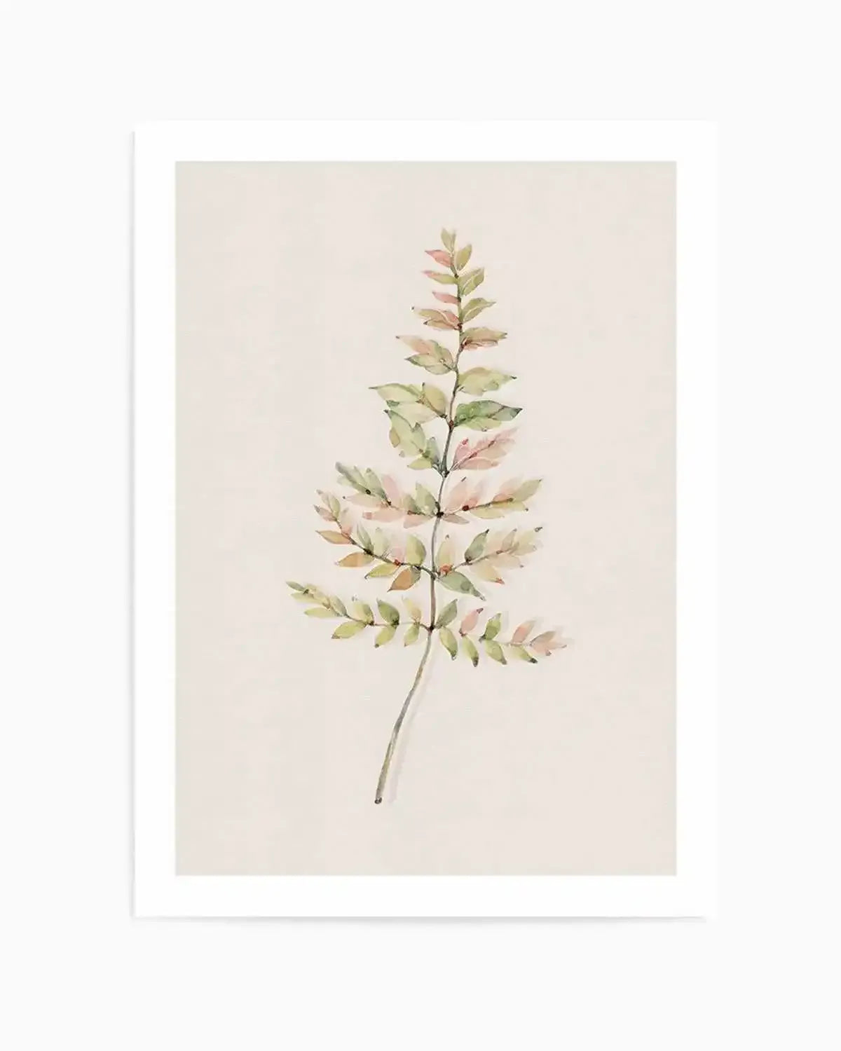 Blushing Fern II | Watercolor Art Print from Olive et Oriel where you can shop wallpaper and artworks online