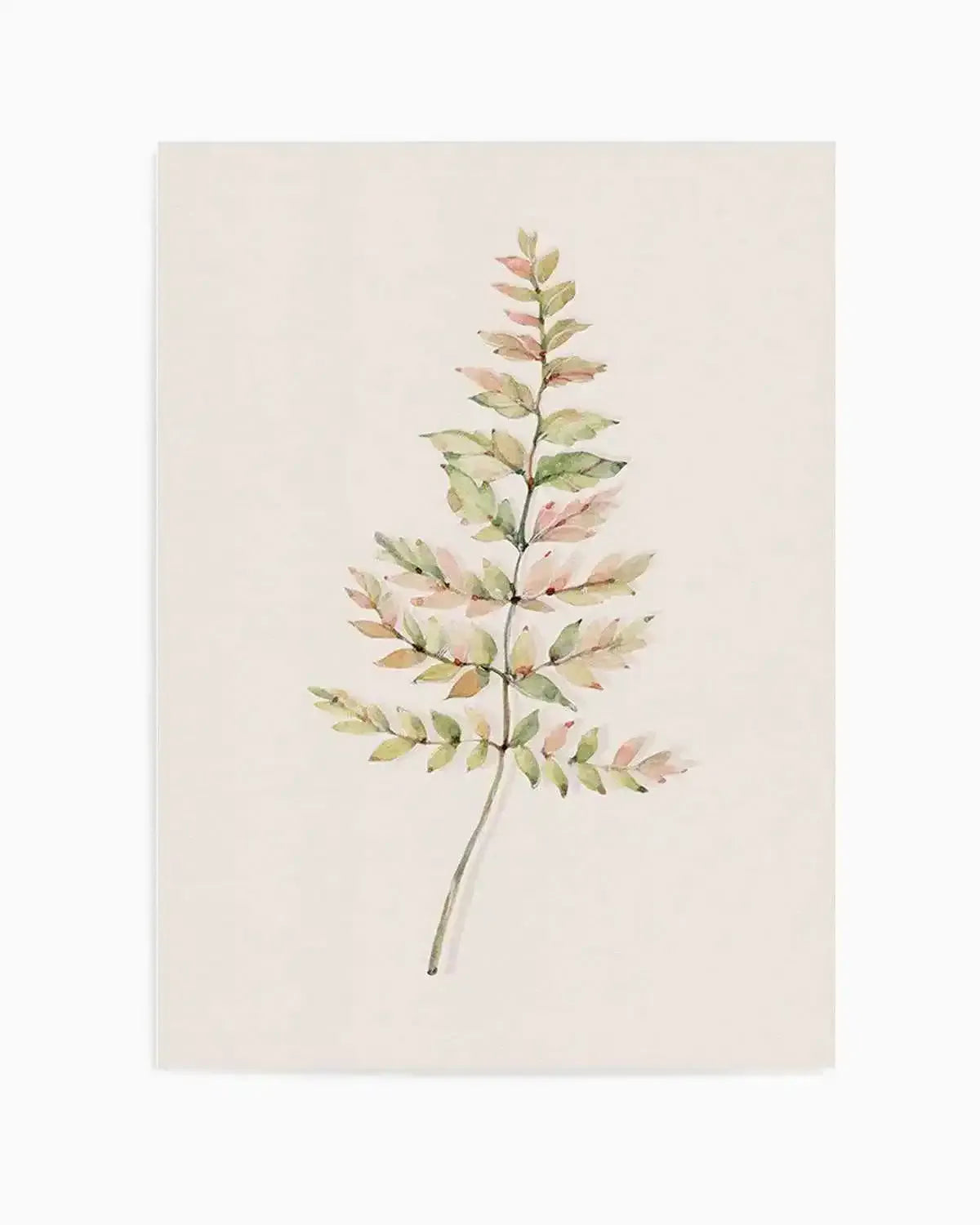 Blushing Fern II | Watercolor Art Print from Olive et Oriel where you can shop wallpaper and artworks online