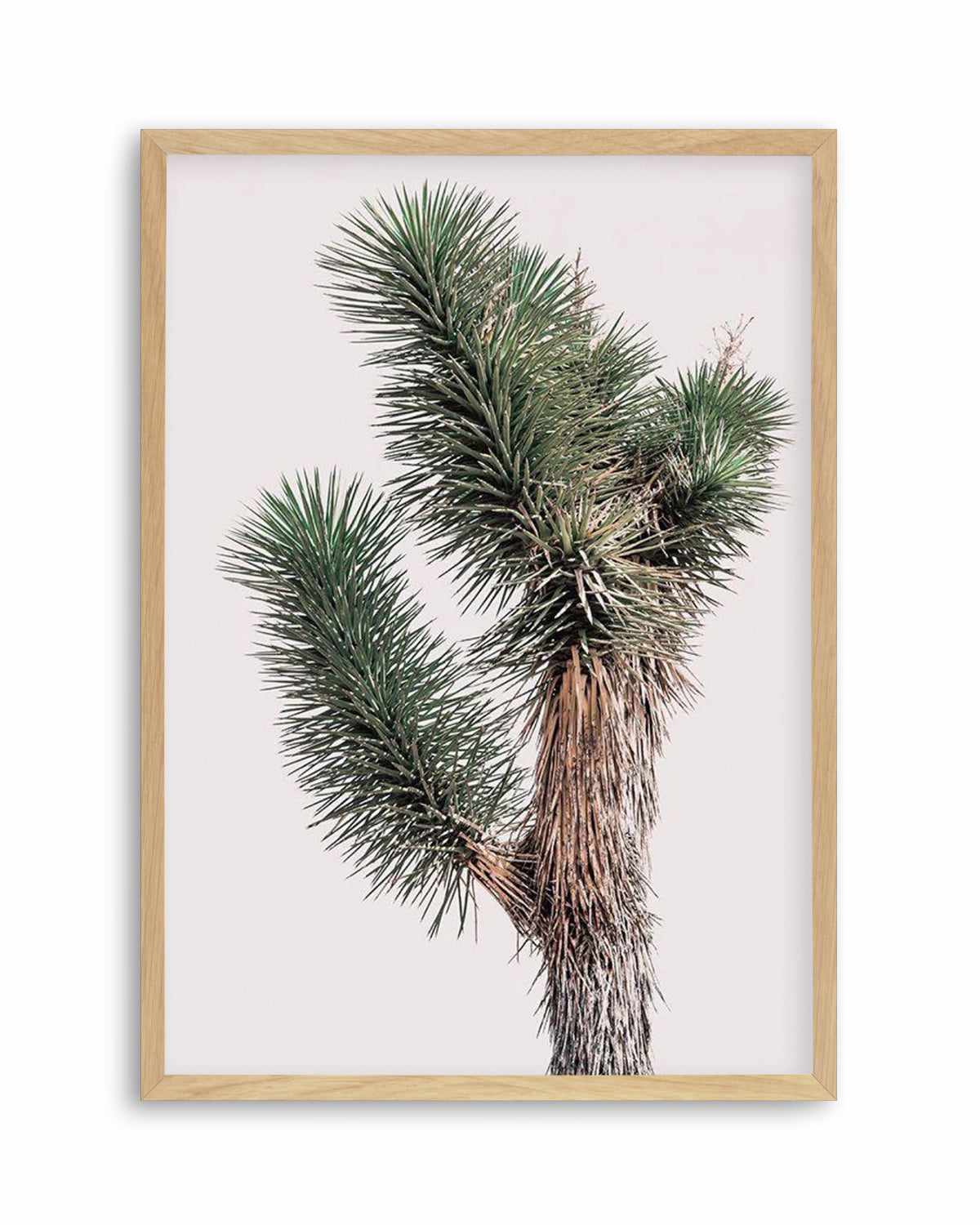 Blushing Joshua Tree I Art Print