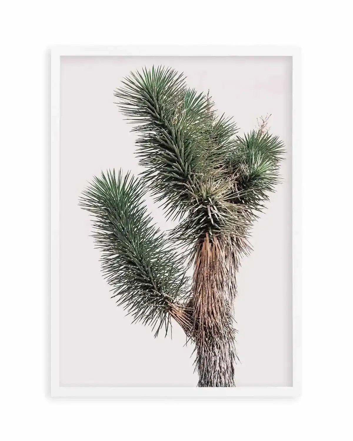 Blushing Joshua Tree I Art Print from Olive et Oriel where you can shop wallpaper and artworks online
