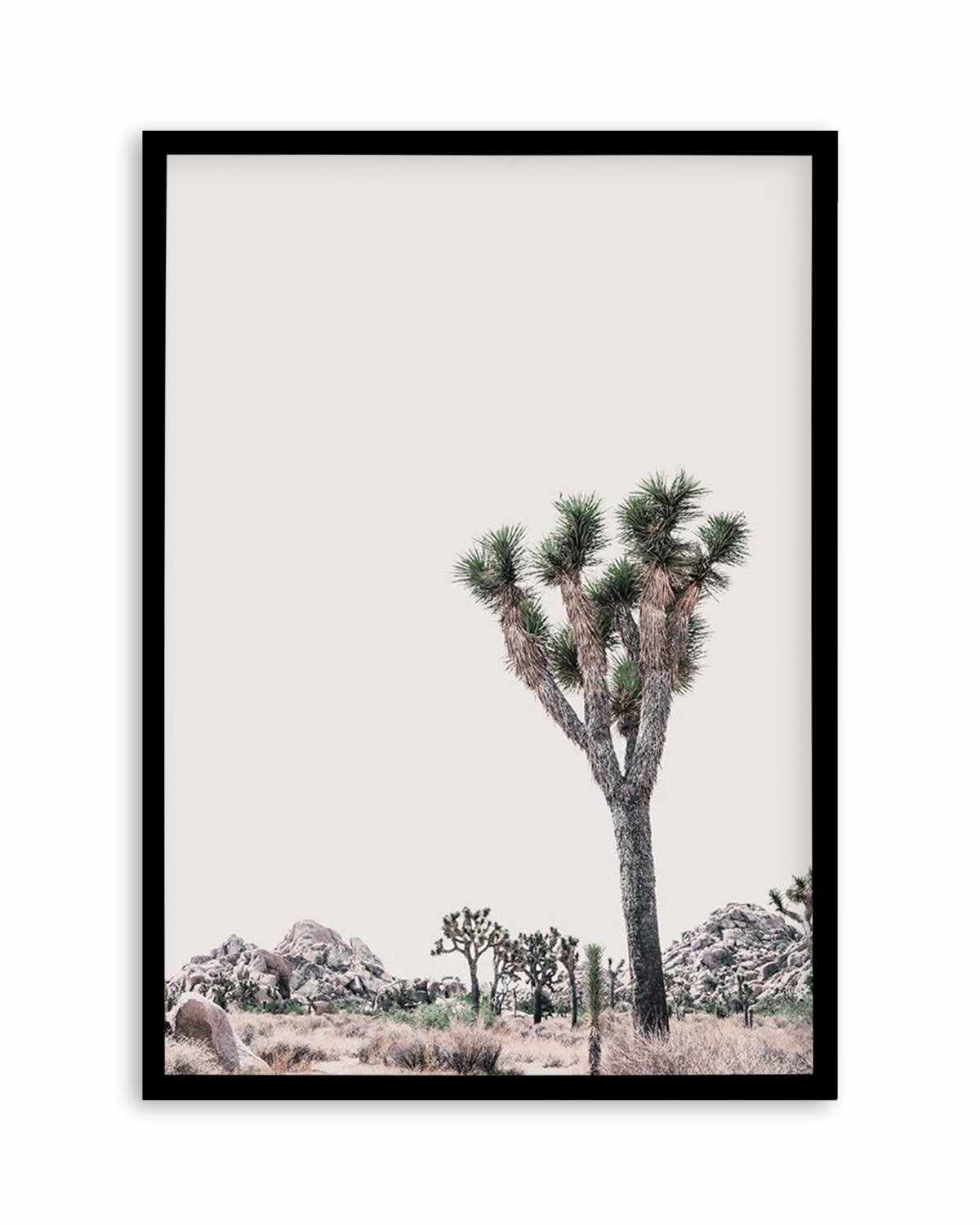 Blushing Joshua Tree II Art Print