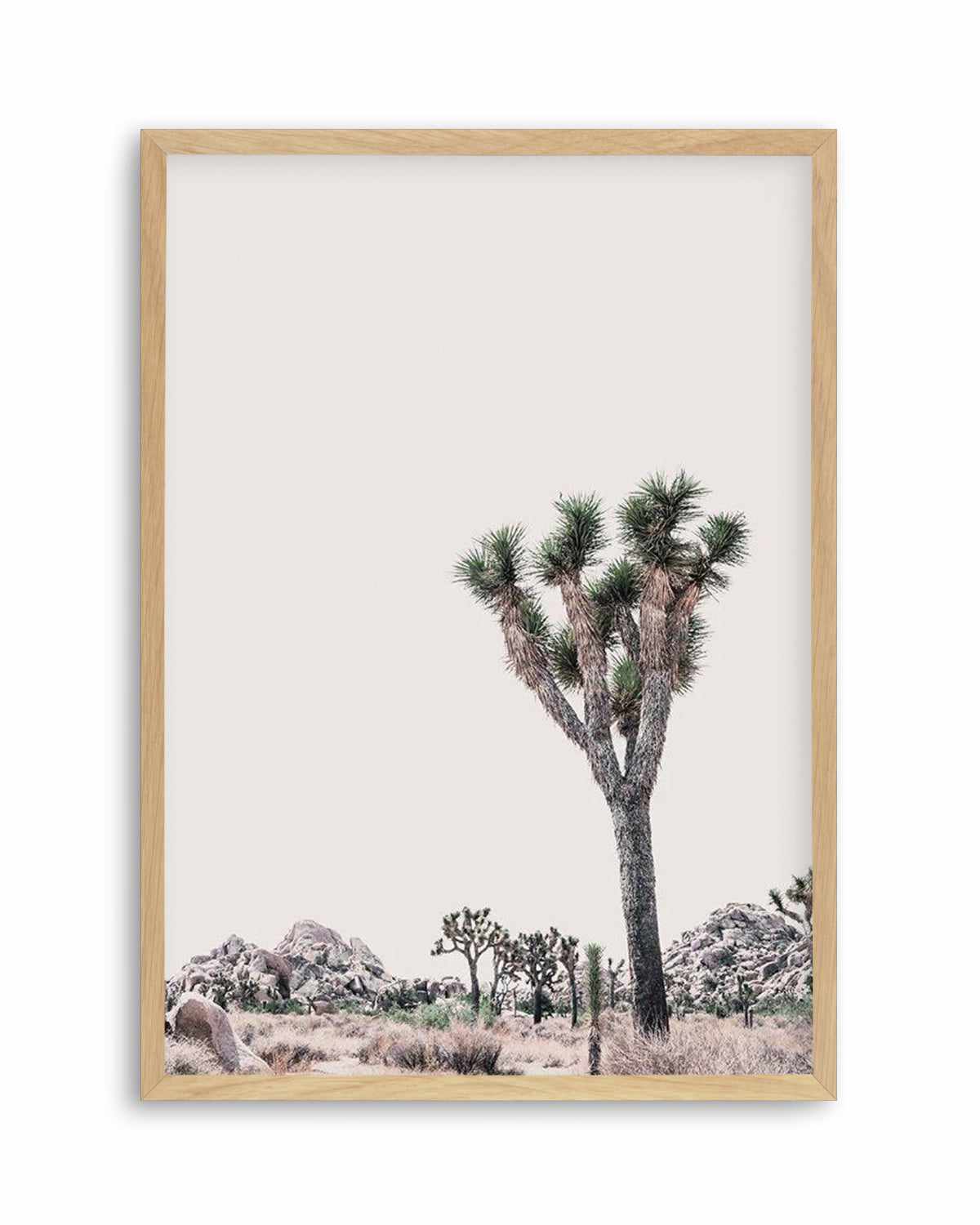 Blushing Joshua Tree II Art Print