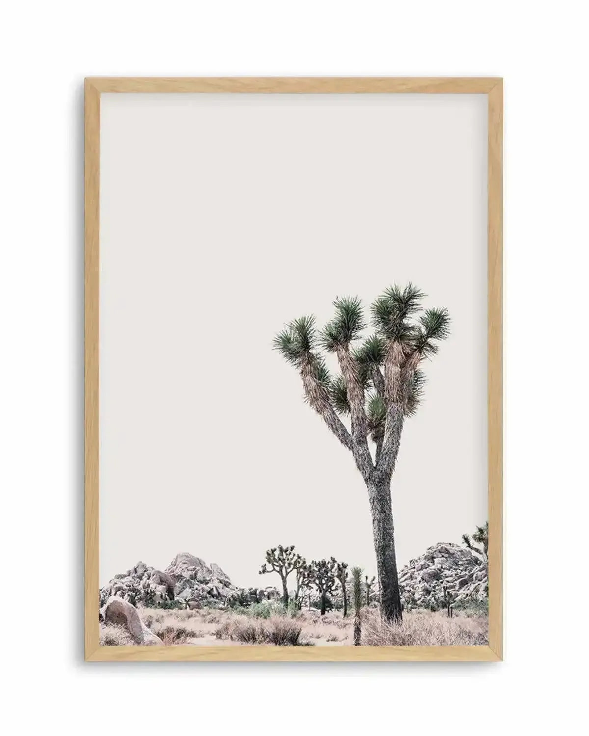 Blushing Joshua Tree II Art Print from Olive et Oriel where you can shop wallpaper and artworks online