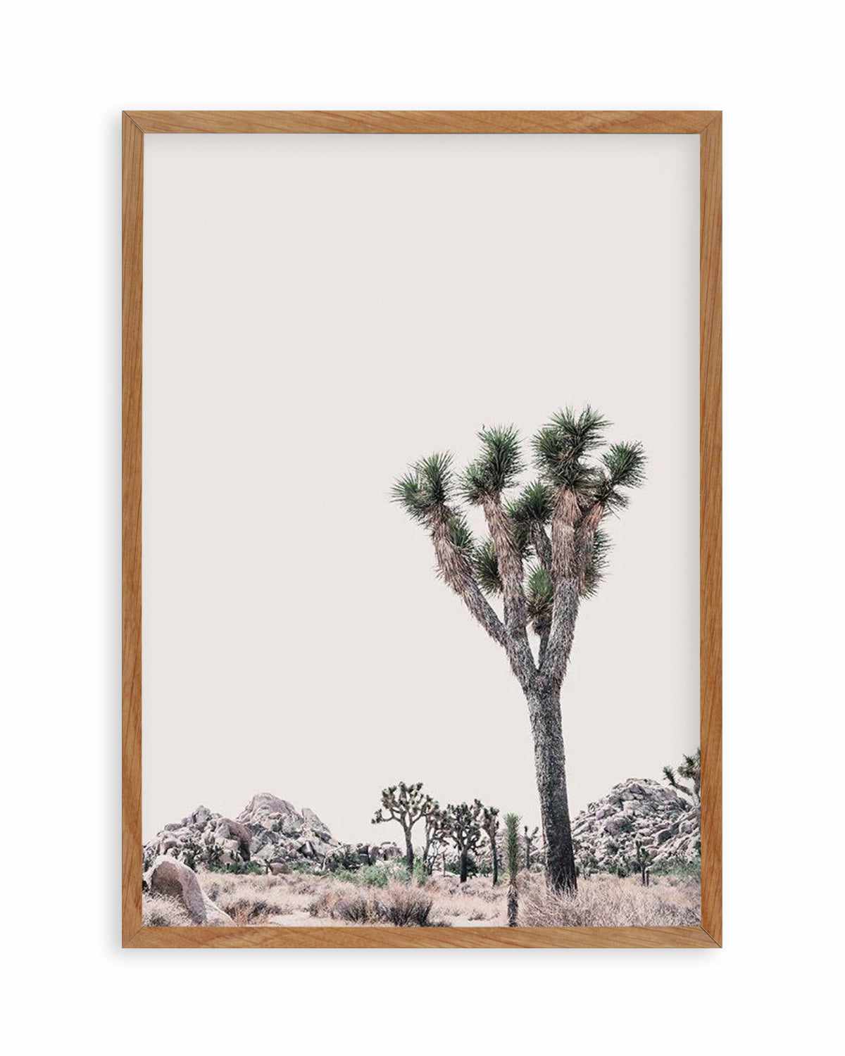 Blushing Joshua Tree II Art Print