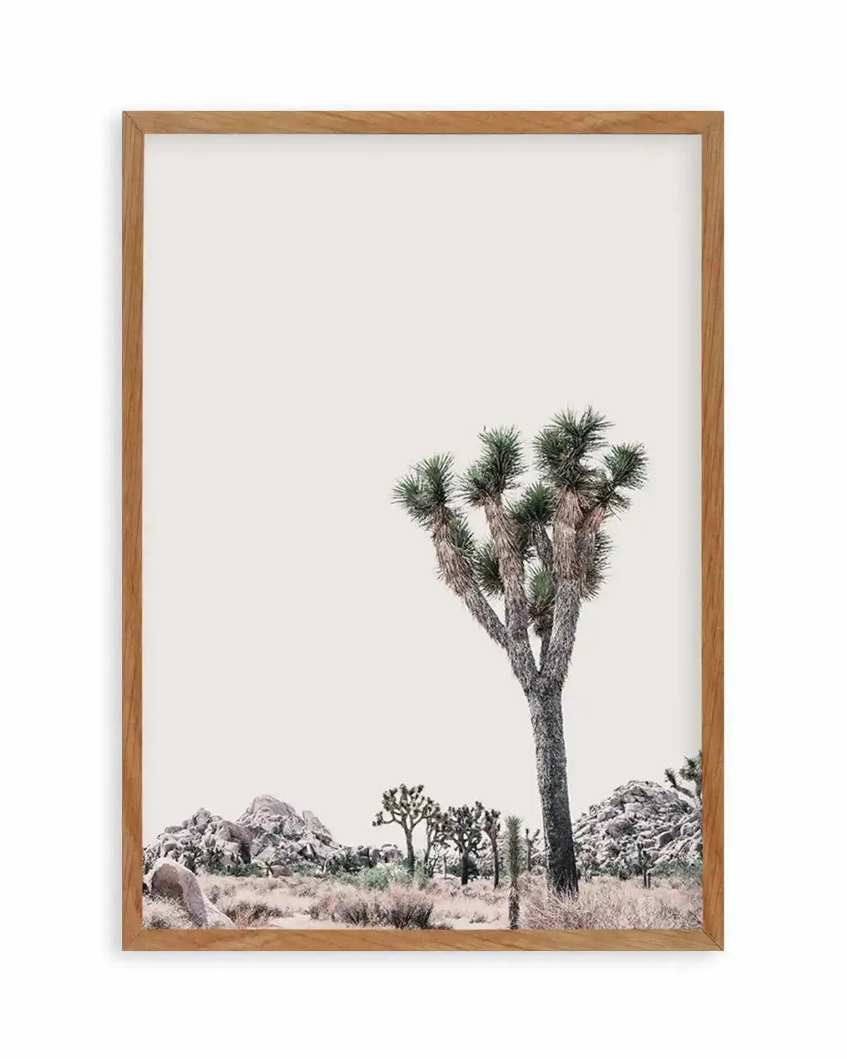 Blushing Joshua Tree II Art Print from Olive et Oriel where you can shop wallpaper and artworks online