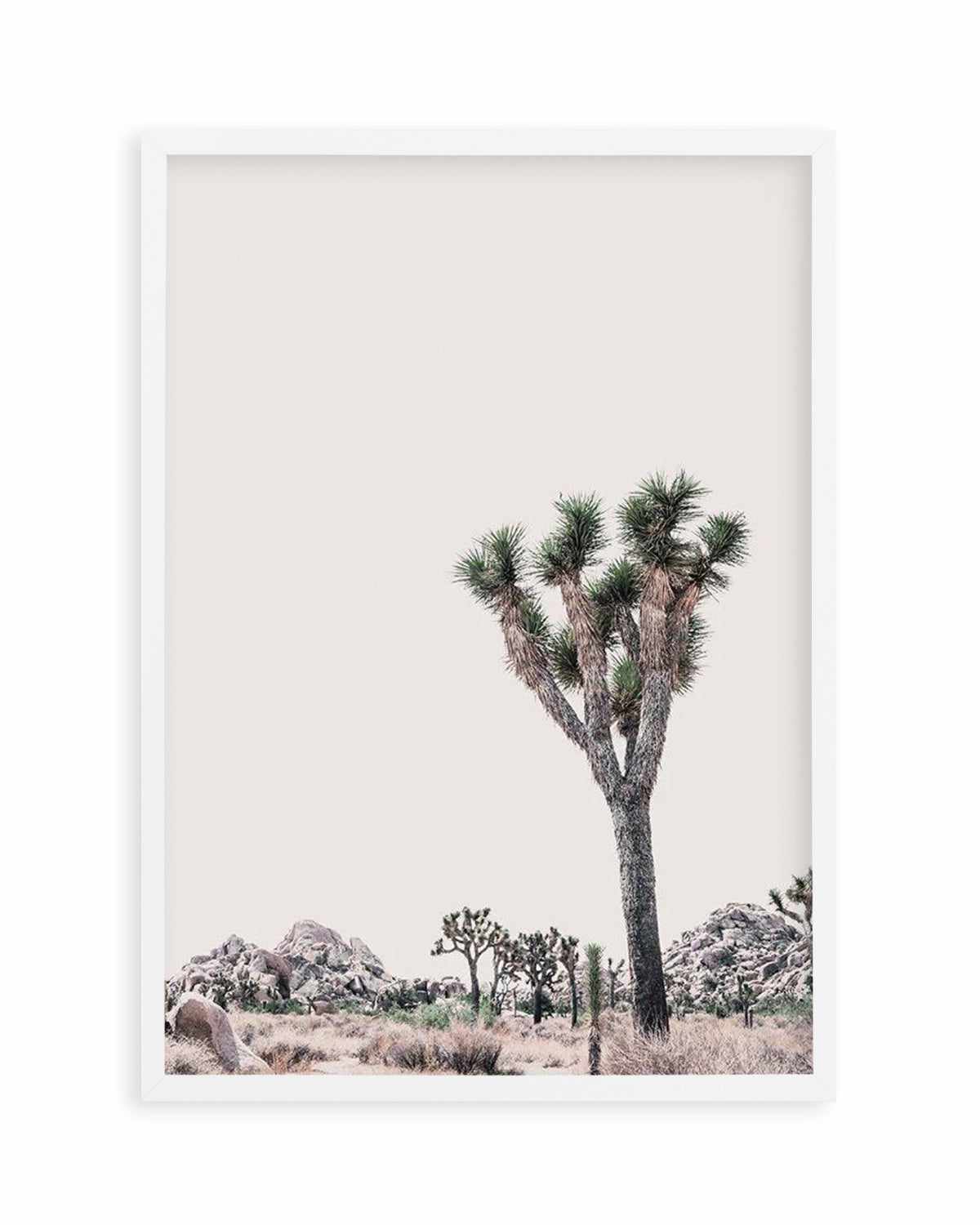 Blushing Joshua Tree II Art Print