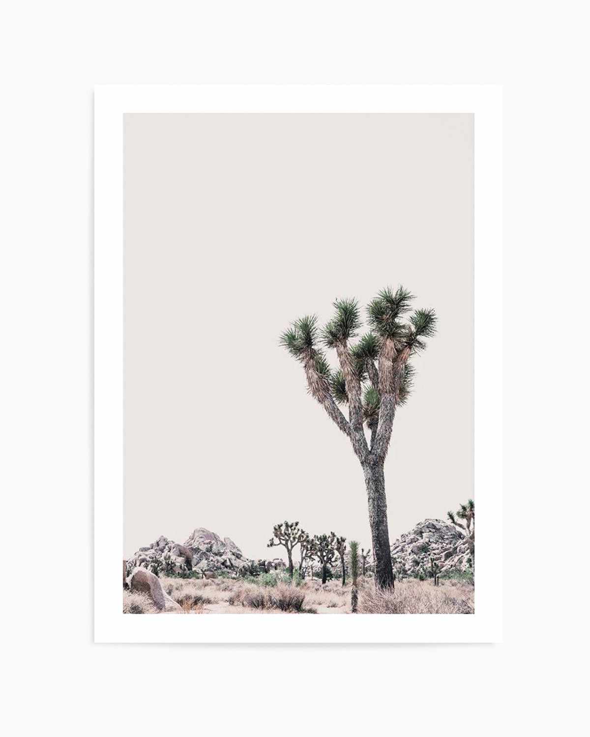 Blushing Joshua Tree II Art Print