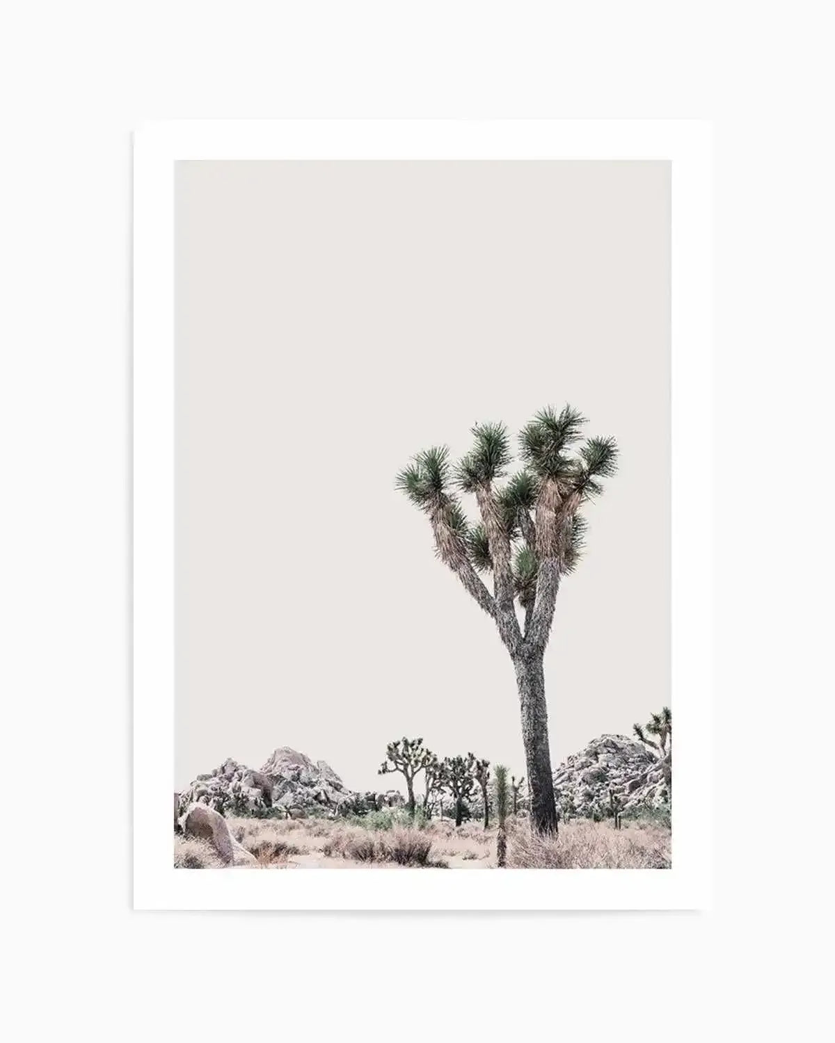 Blushing Joshua Tree II Art Print from Olive et Oriel where you can shop wallpaper and artworks online