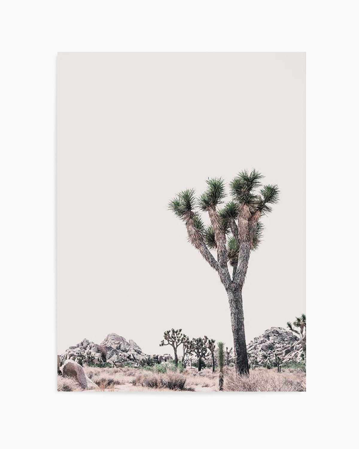 Blushing Joshua Tree II Art Print